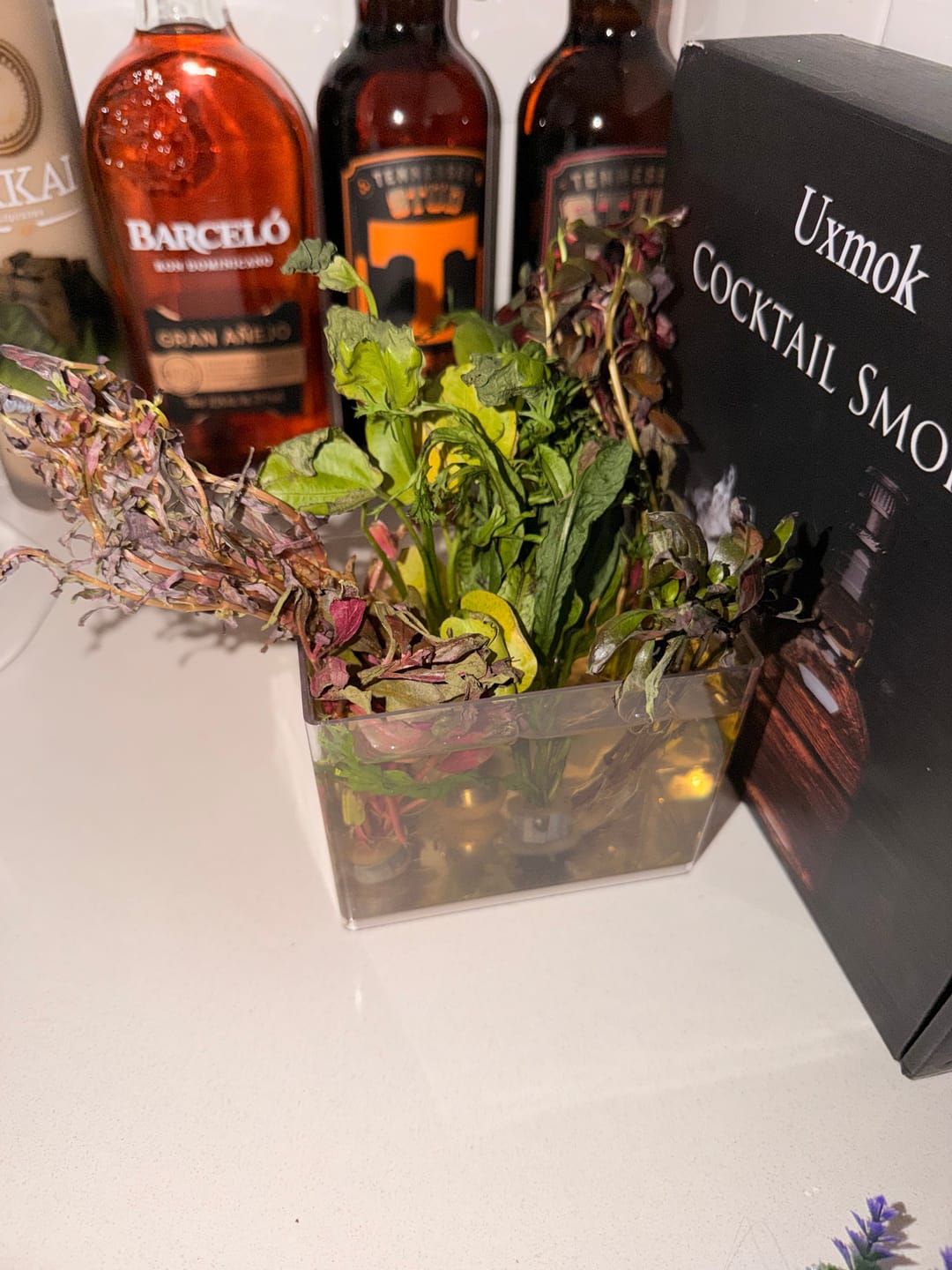 Customer photo review of Plant Package for Halfmoon Betta Fish Tank