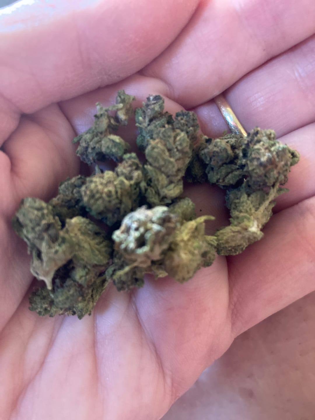 Customer photo review of Purple Jack - 28 Grams Littles - Hybrid