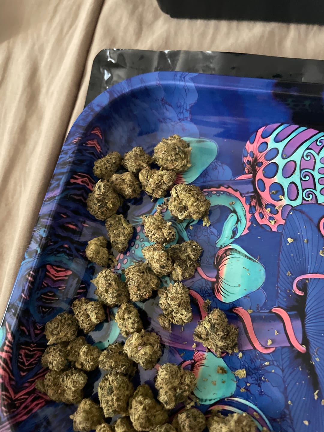 Customer photo review of Lady Zaza