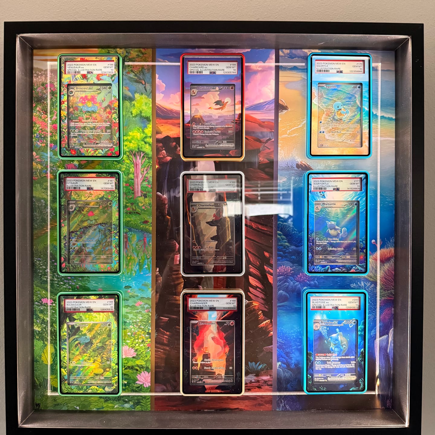 Customer photo review of Ivysaur 167-165 Extended Art Display Cases