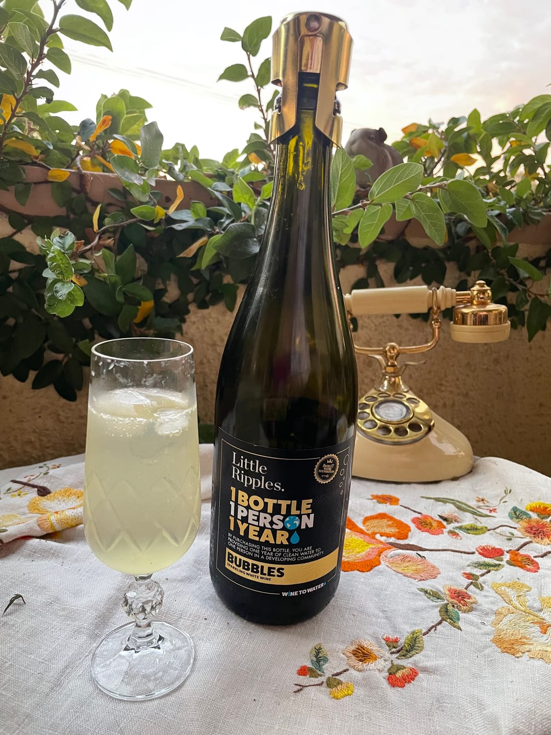 Customer photo review of Sparkling - Single Bottle