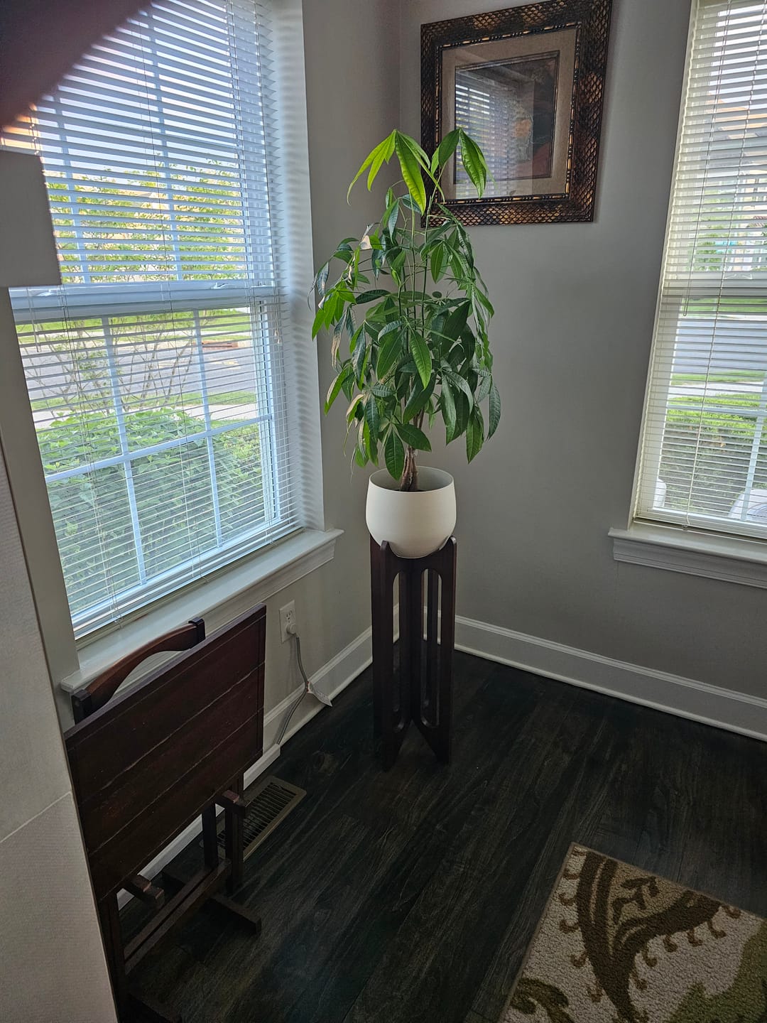 Customer photo review of Arches Plant Stand + Pot
