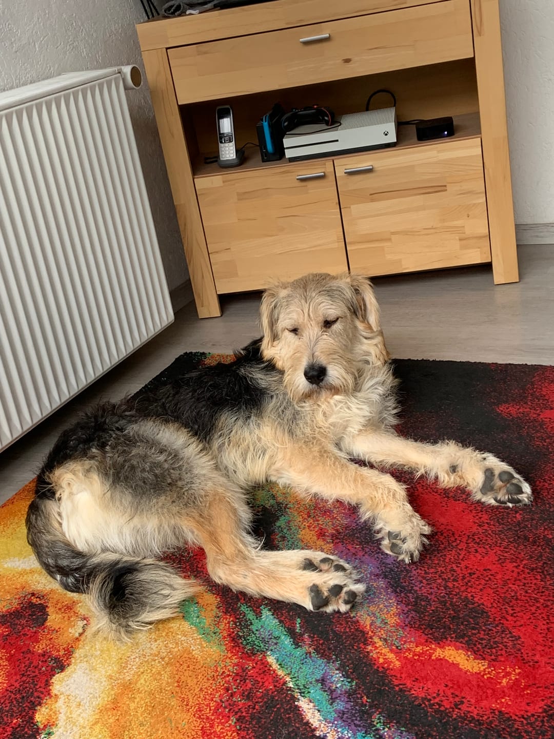 Customer photo review of Wurmtest Pro Hund