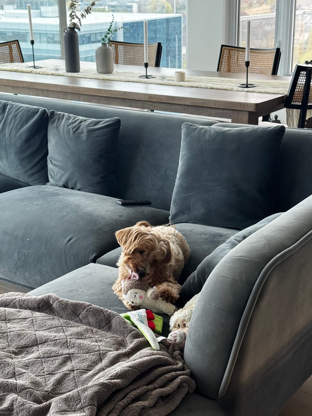 Customer photo review of Stuffed Animal Toy