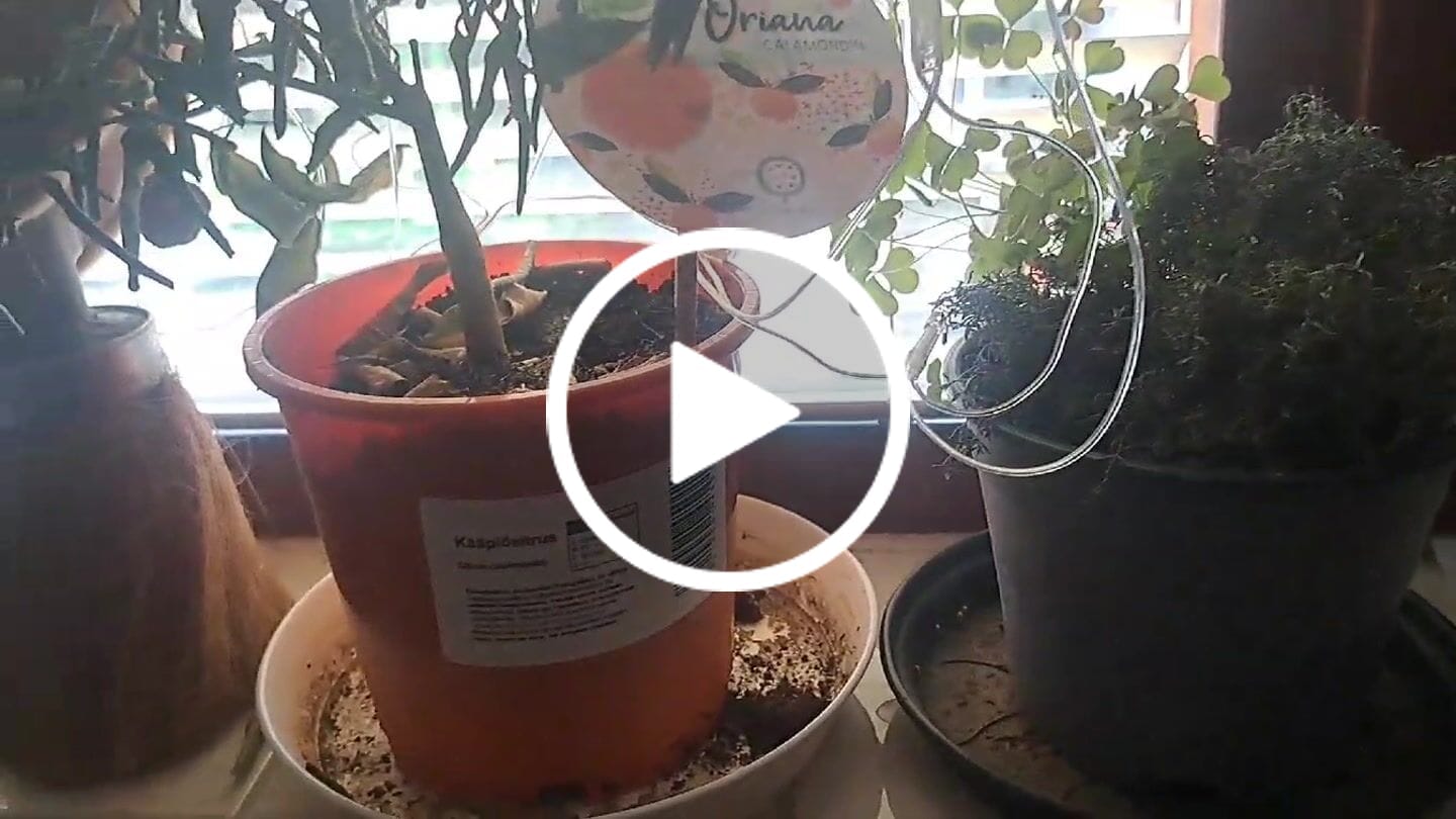 Customer video review of TenPower