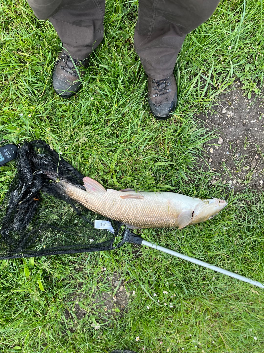 Customer photo review of PREMIUM COARSE PELLETS - ALLTECH COPPENS