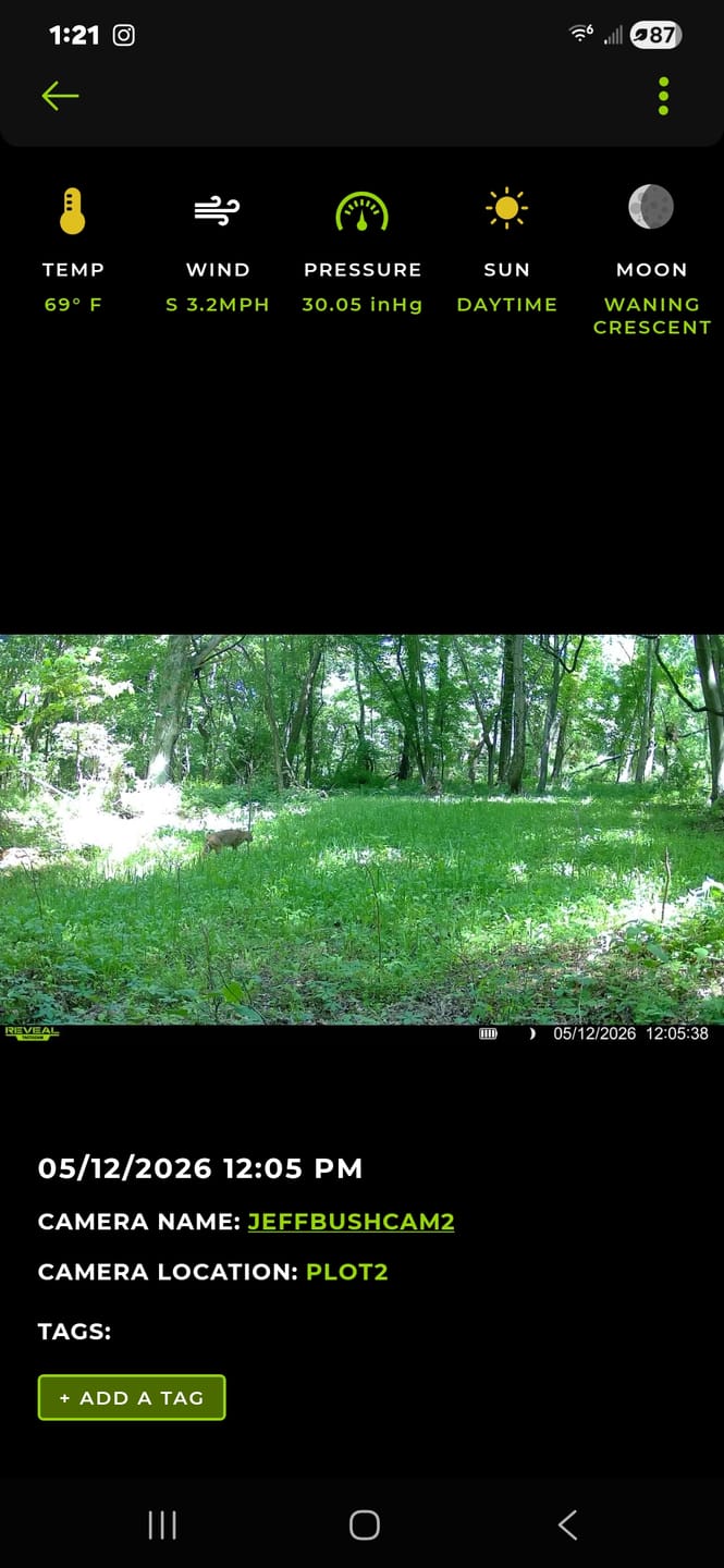 Customer photo review of No BS™ Food Plot Seed