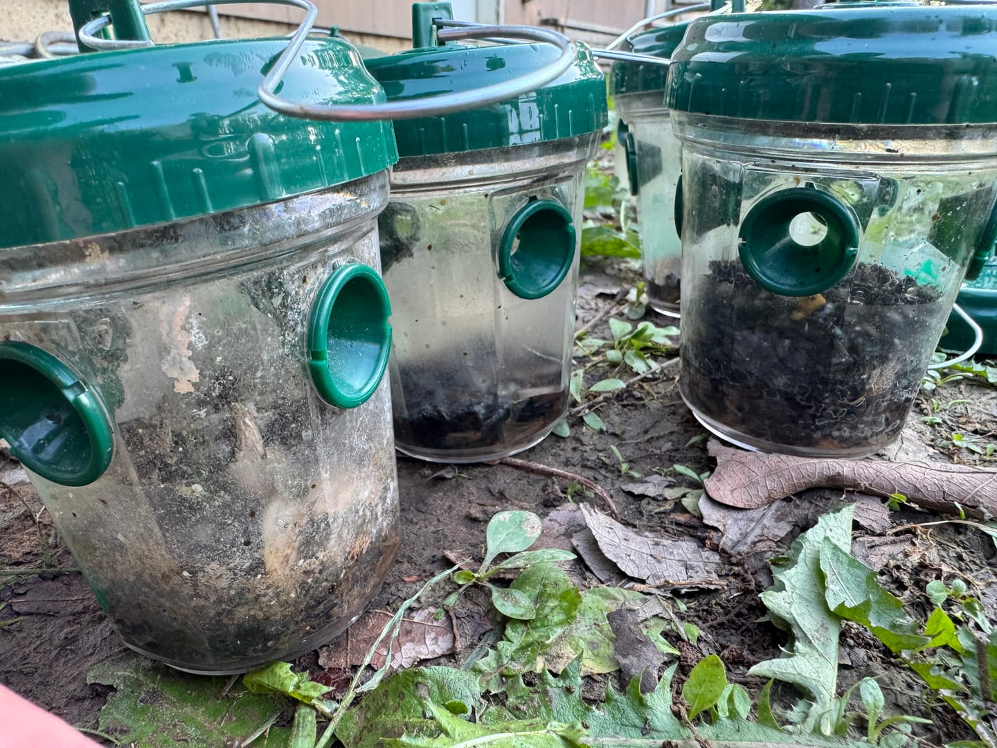 Customer photo review of Mosquito TNT 2.0