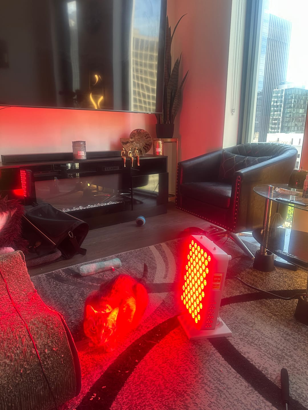 Customer photo review of Rouge Tabletop G4
