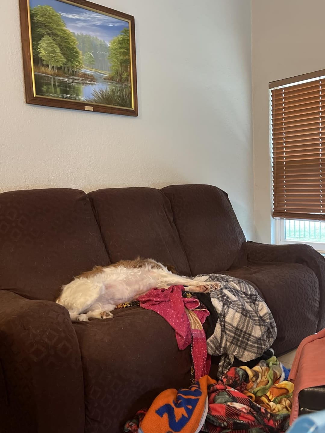 Customer photo review of Stretch Waterproof Recliner Sofa Cover with Pockets Washable Recliner Slipcovers