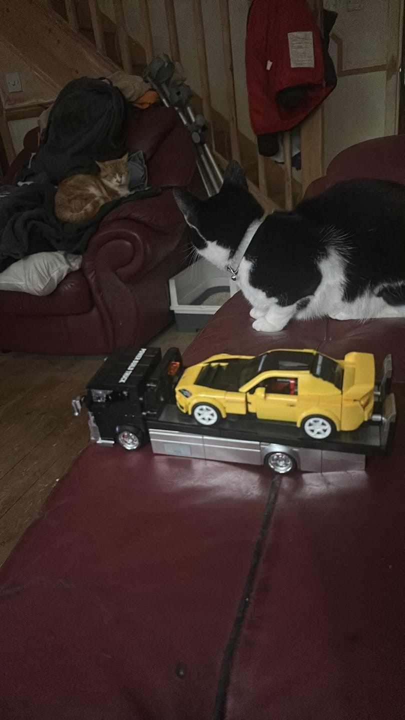 Customer photo review of Flatbed Truck