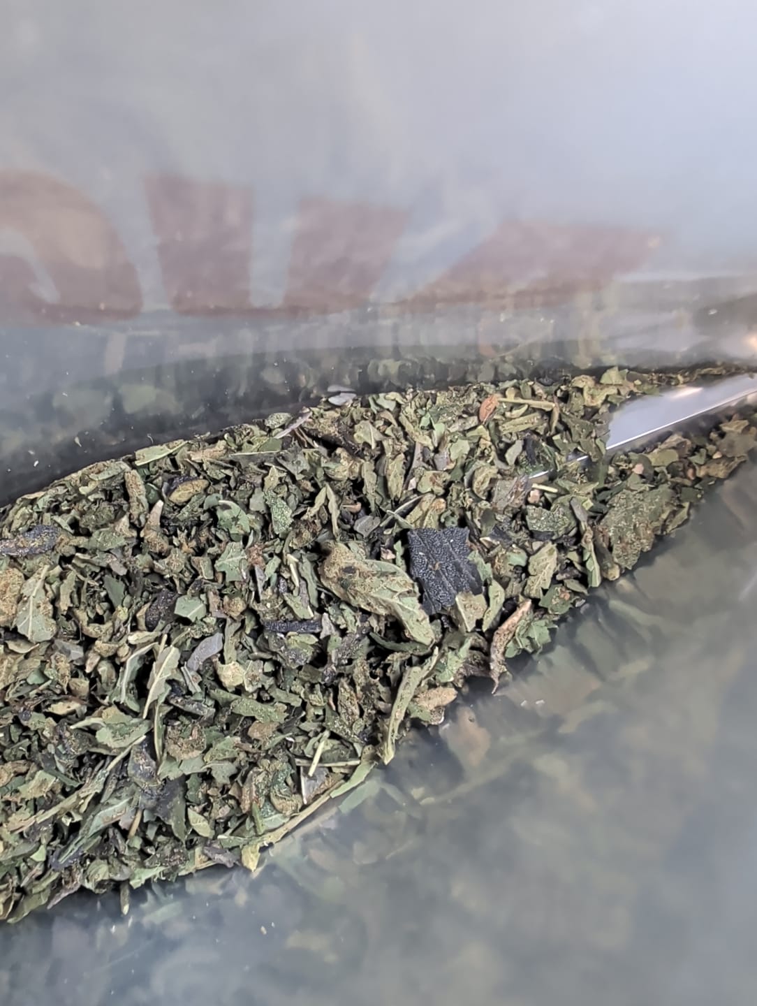 Customer photo review of Gas Mints Shake