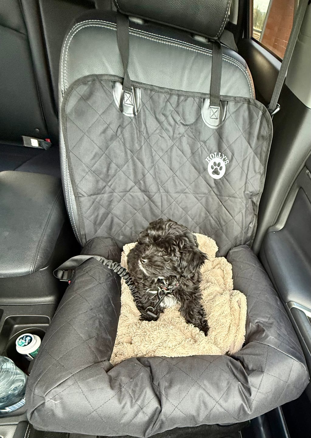 Customer photo review of Car Seat Cover