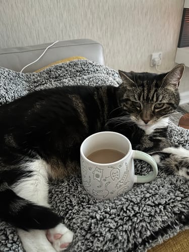 Customer photo review of High-Protein Lean Coffee 🤩