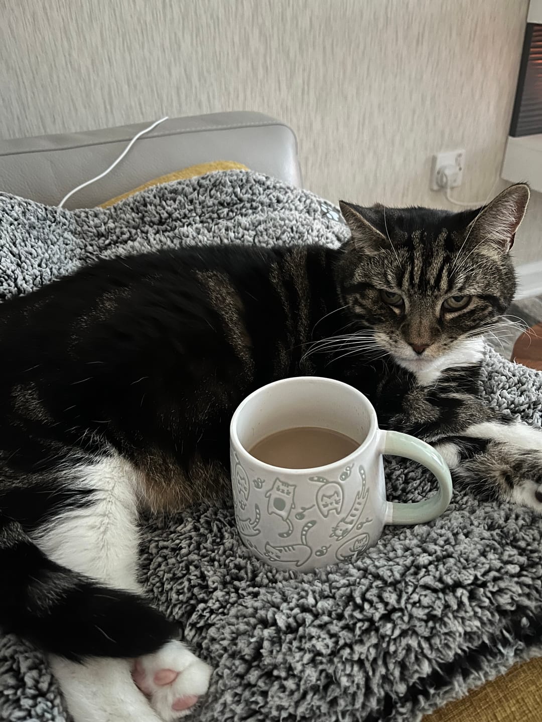 Customer photo review of High-Protein Lean Coffee 🤩