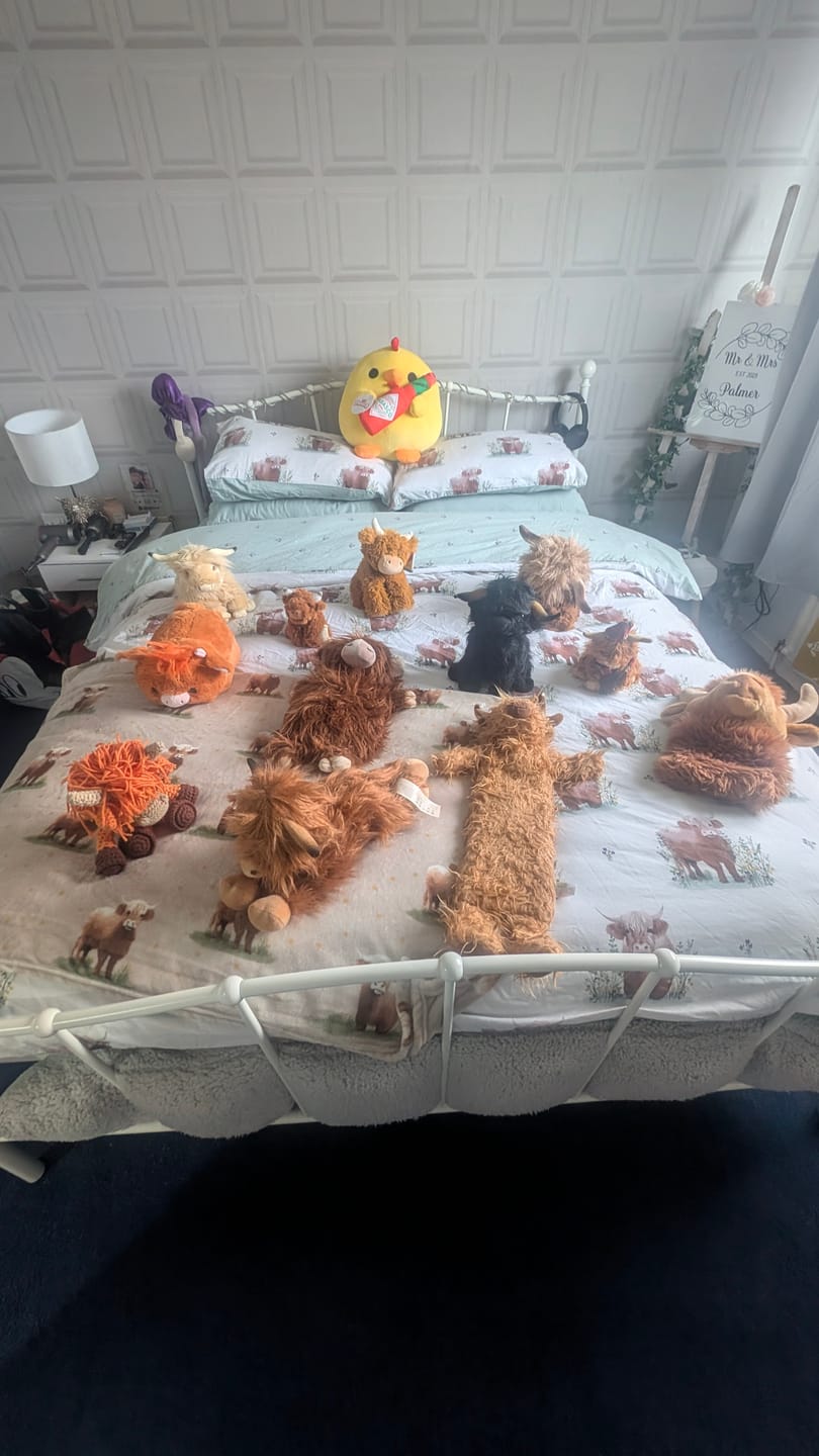 Customer photo review of Hairy Highland Cow Plushie