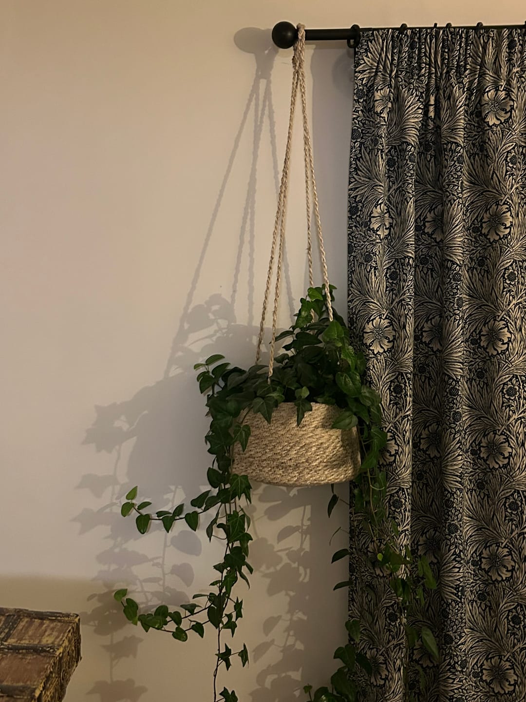 Customer photo review of Hanging Jute Plant Pots