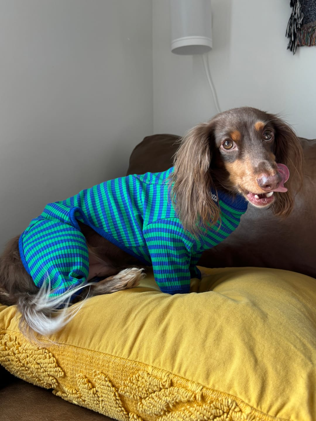 Customer photo review of Ivy Prep Onesie