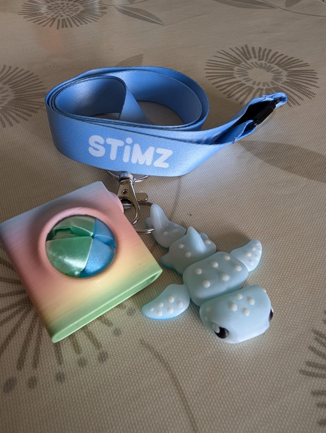 Customer photo review of Zorble PopBack Fidget