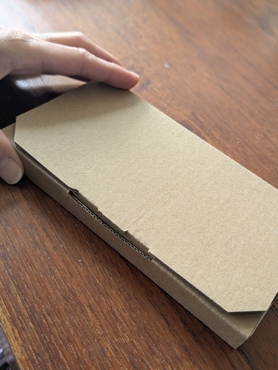 Customer photo review of Samples