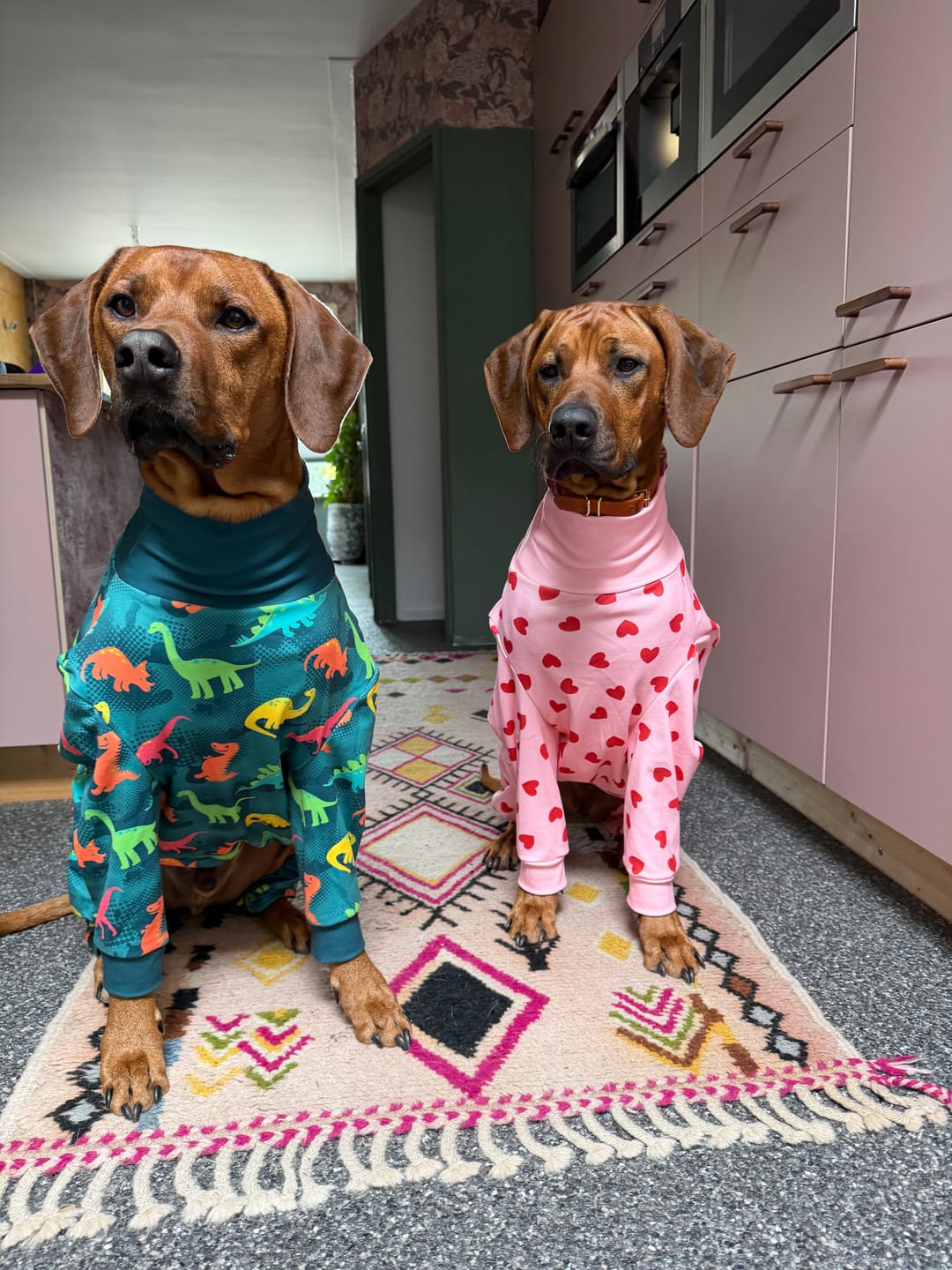Customer photo review of Dog Pajama - Dinosaurs