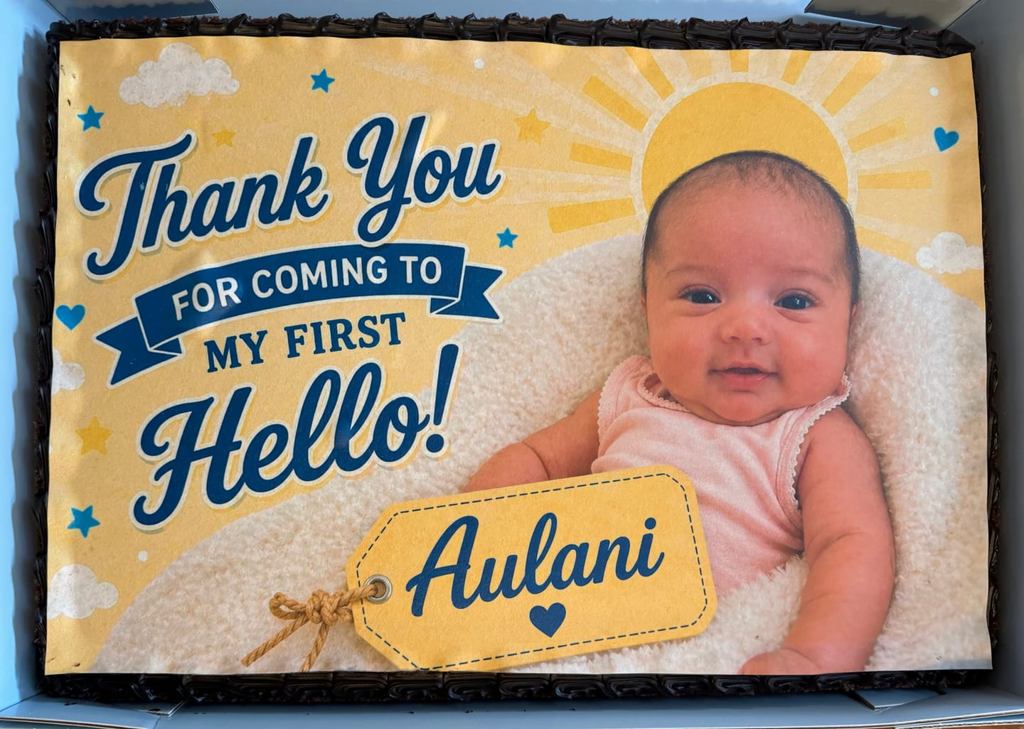 Customer photo review of A3 Rectangle Custom Edible Icing Image