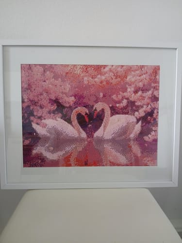 Kundenbewertung mit Foto zu Schwäne in Rosa