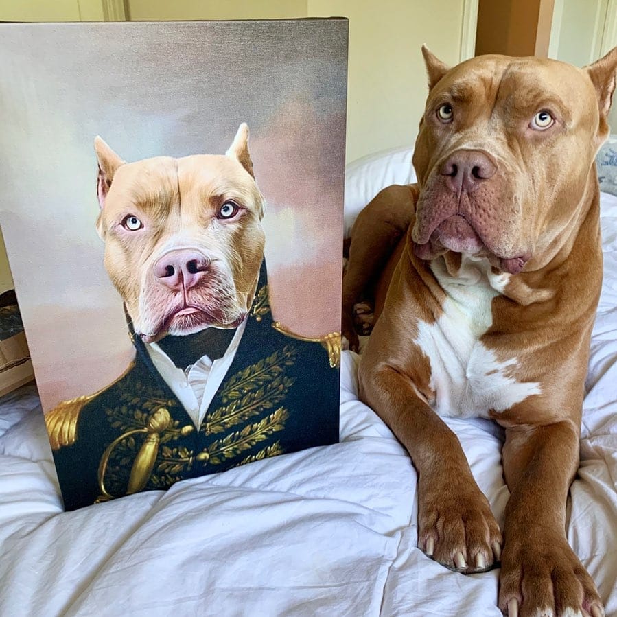 Customer photo review of Turn Your Pet Into A Royal Legend