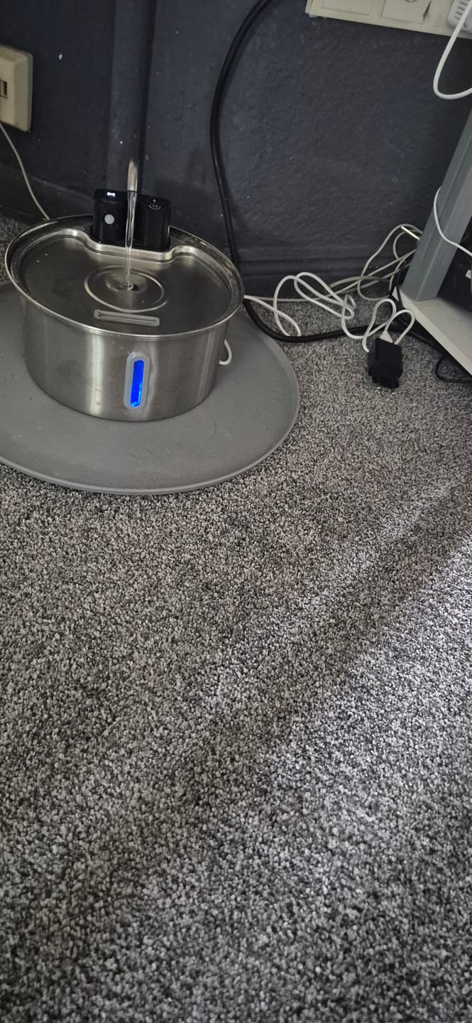 Customer photo review of NordFlow 2.0 Katzenbrunnen