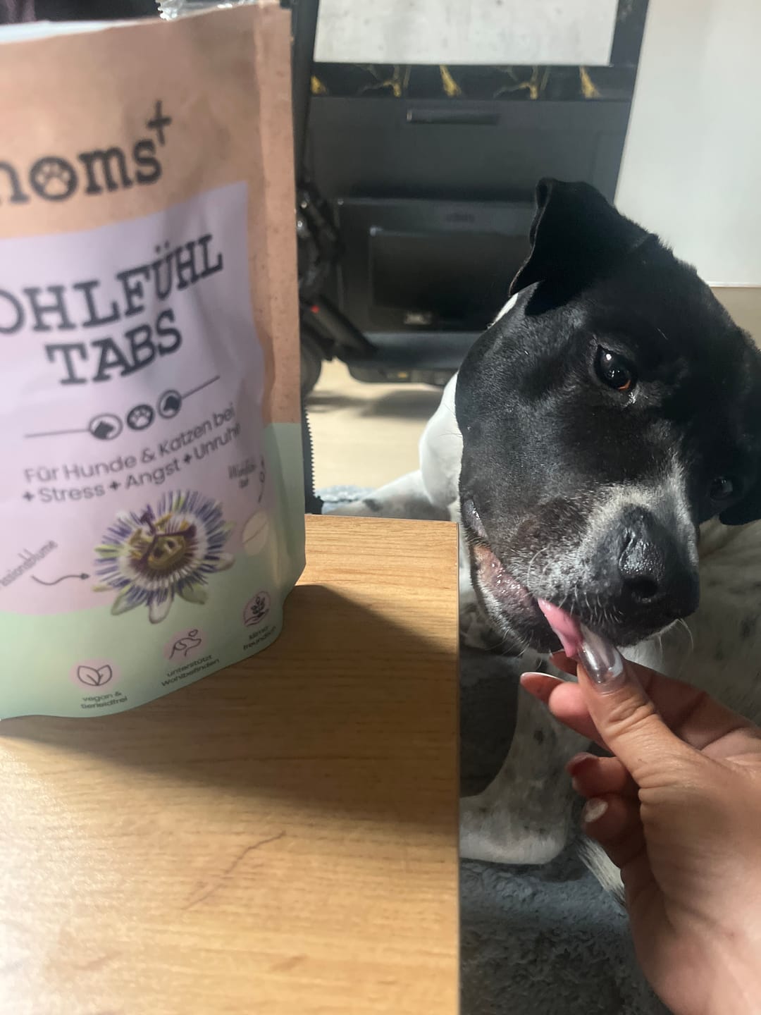 Customer photo review of Wohlfühltabs für Hunde bei Stress, Angst, Unruhe und Hyperaktivität