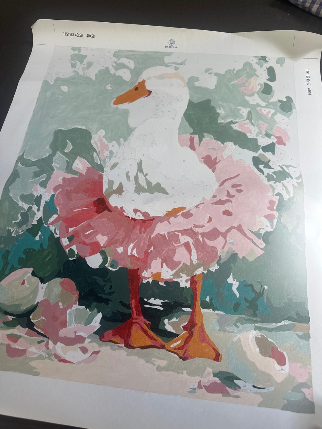 Customer photo review of The Goose Ballerina | Paint by Number