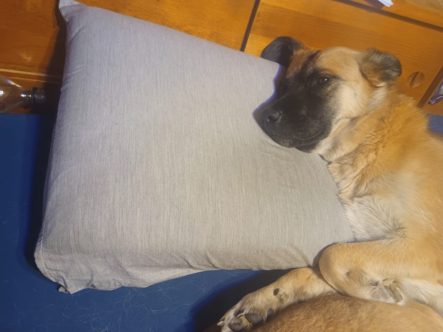 Customer photo review of RTS Tactical Level IIIA Bulletproof Memory Foam Pillow