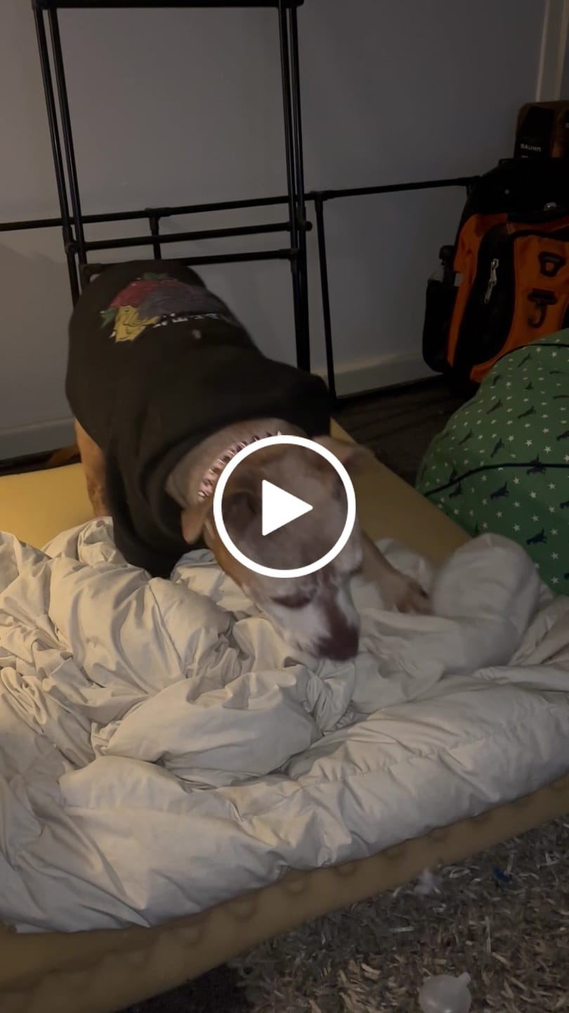 Customer video review of COMBO OFFER #8
