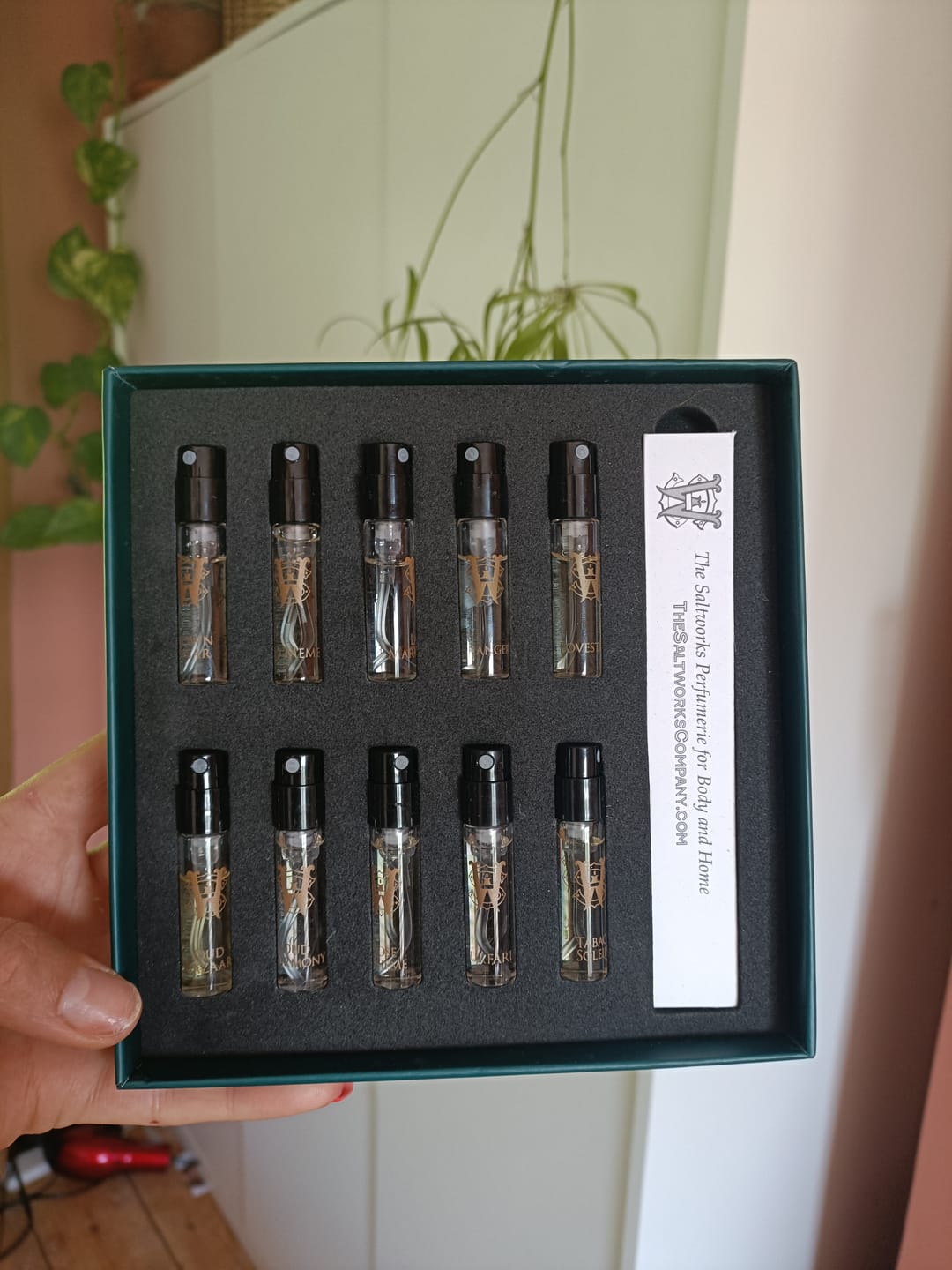 Customer photo review of Discovery Set