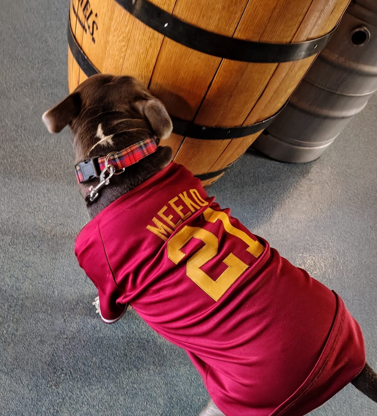 Customer photo review of Custom Black White Classic Style Dog Jersey
