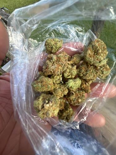 Blueberry Syrup - Bulk - Indica photo review