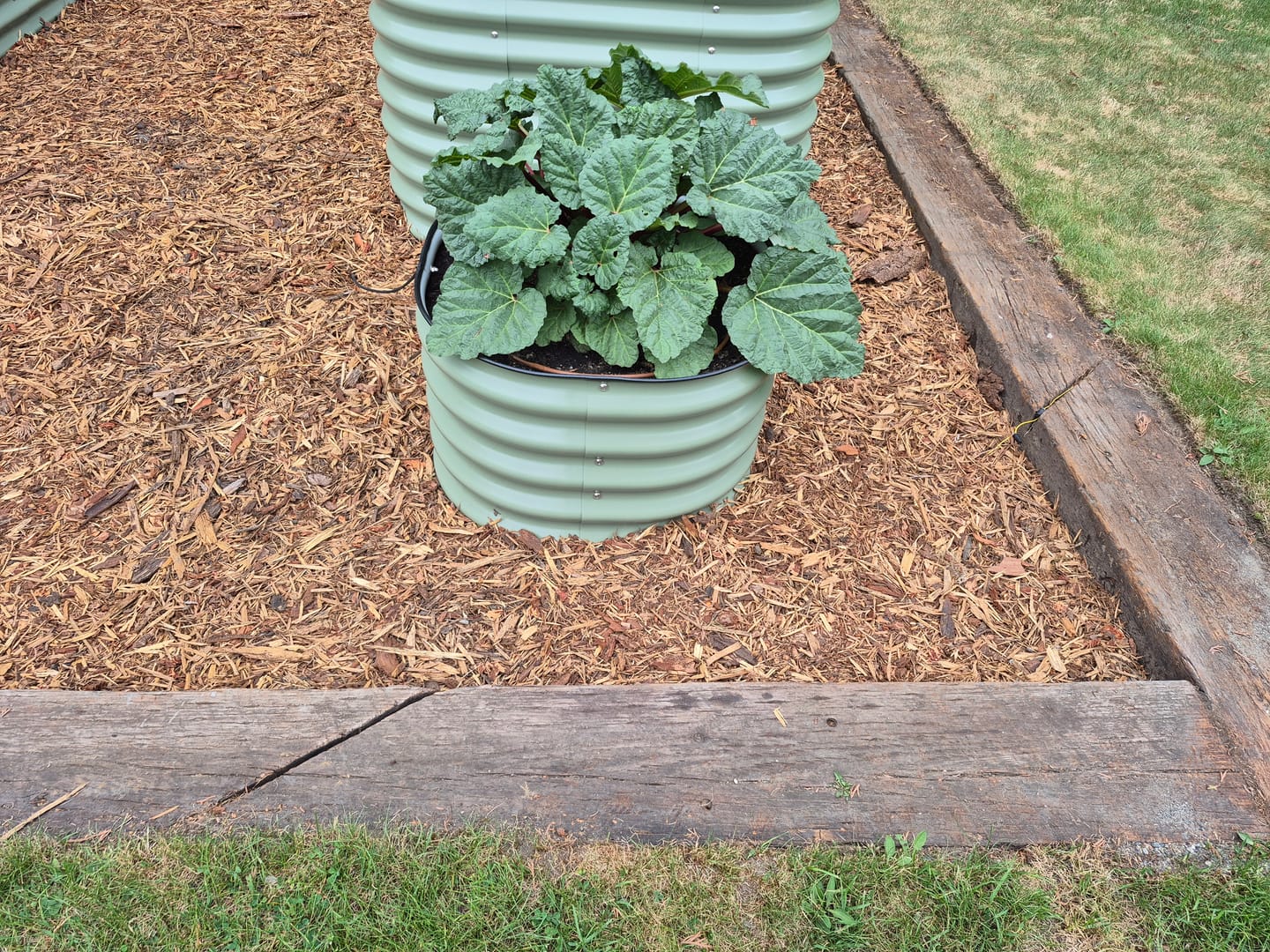 Customer photo review of 17” Tall Round (Twin Pack)