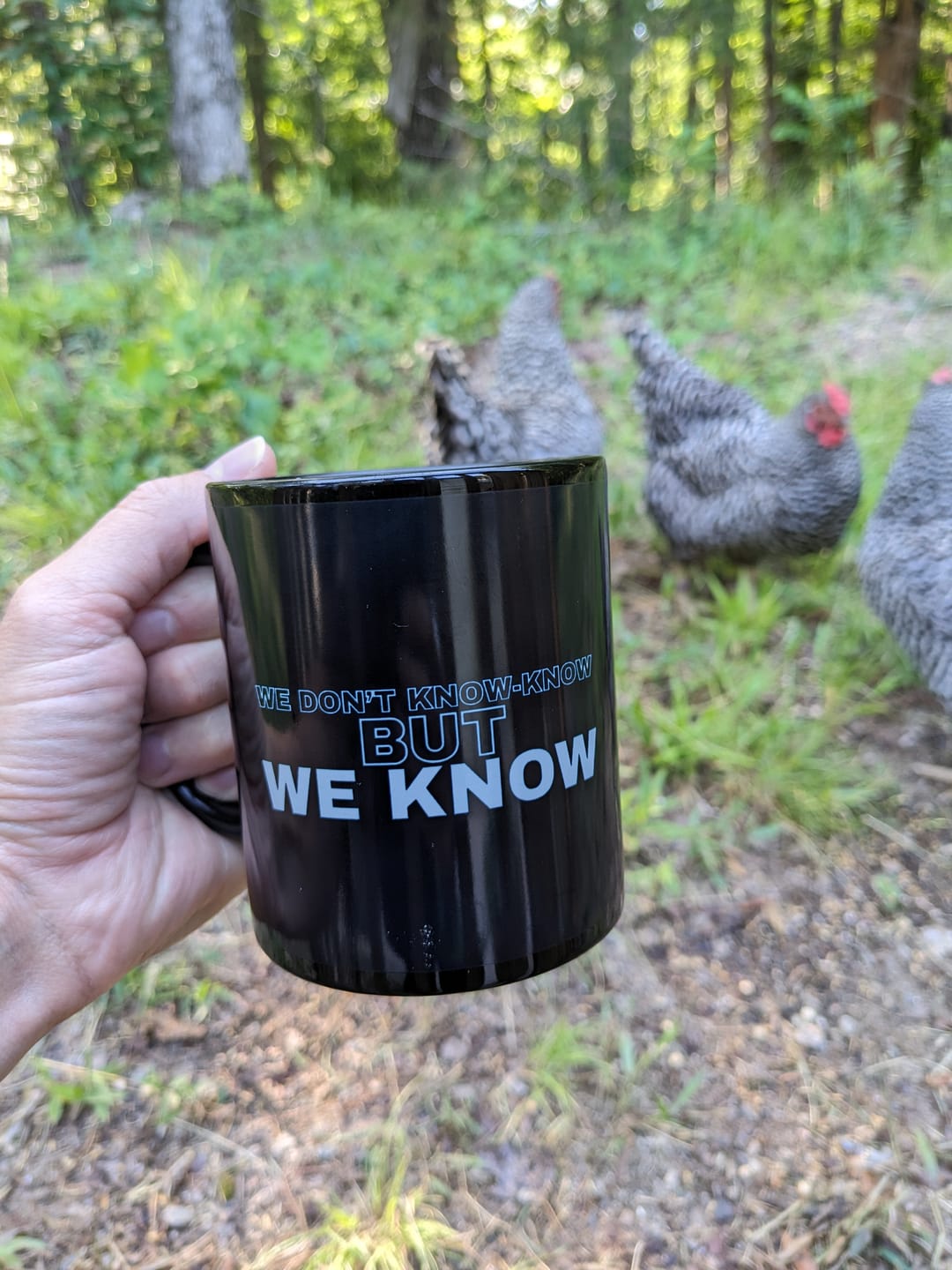Customer photo review of We Know Mug