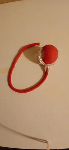 Customer photo review of Smart Interactive Rolling Ball for Small Dogs