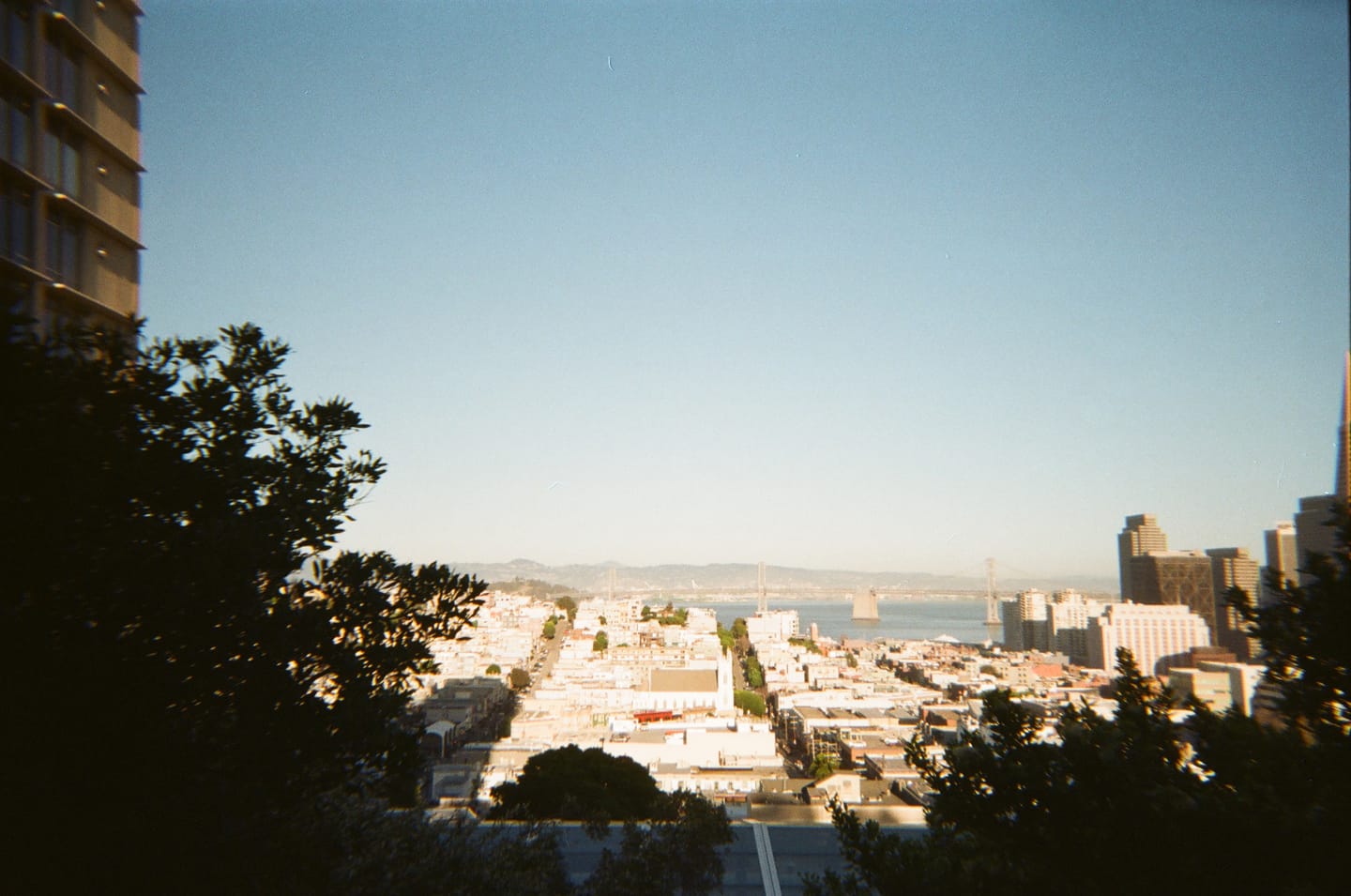 Customer photo review of 35mm Film Processing