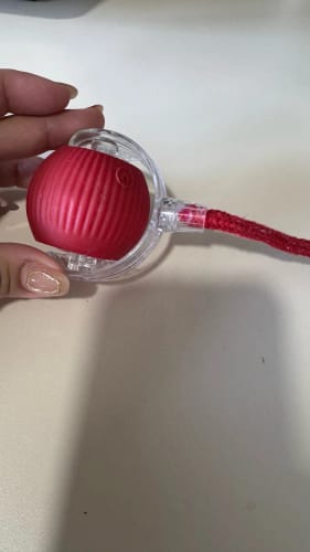 Customer photo review of Smart Interactive Rolling Ball for Small Dogs