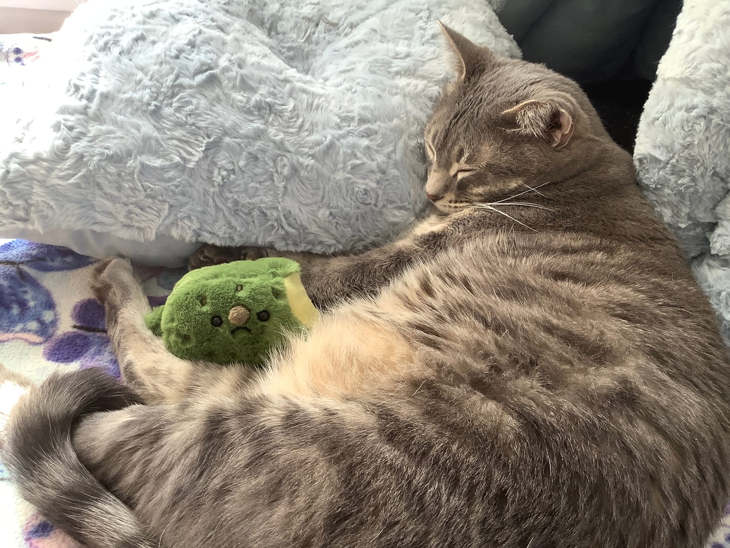 Customer photo review of Forgotten Bitten Pickle (Preorder for early May)