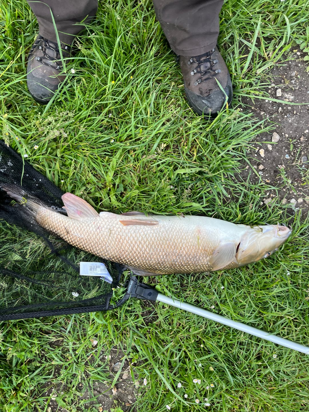 Customer photo review of RED PREMIUM SELECT PELLETS - ALLTECH COPPENS