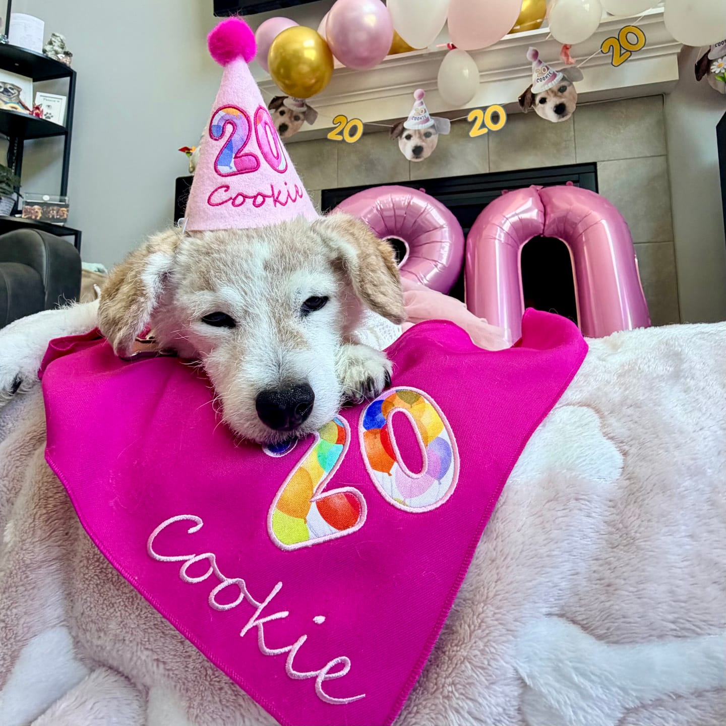 Customer photo review of Personalized Dog Party Pack