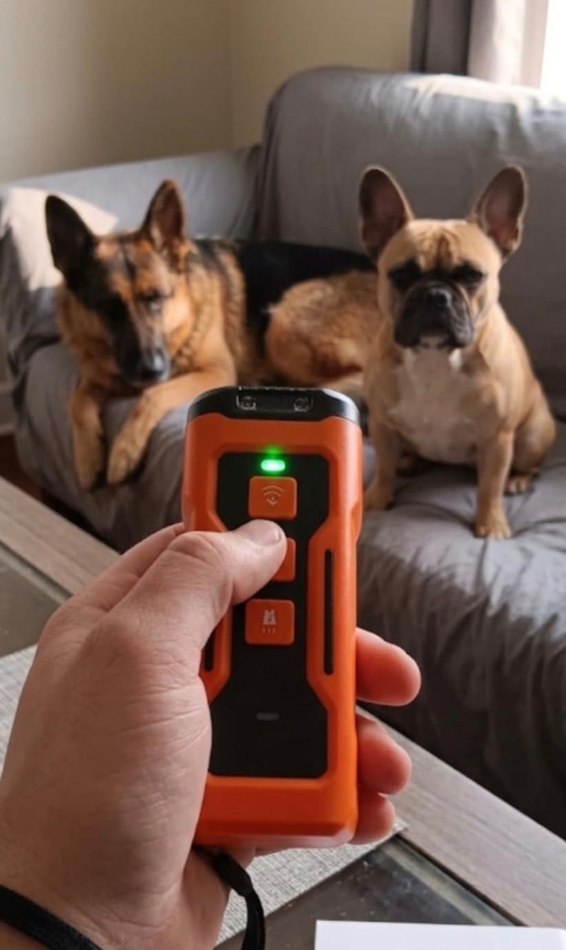 Customer photo review of Dog Bark Control Device
