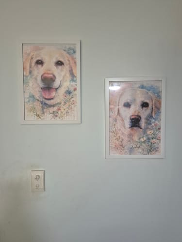 Customer photo review of Personalised Poster With Dog or Cat - Watercolour