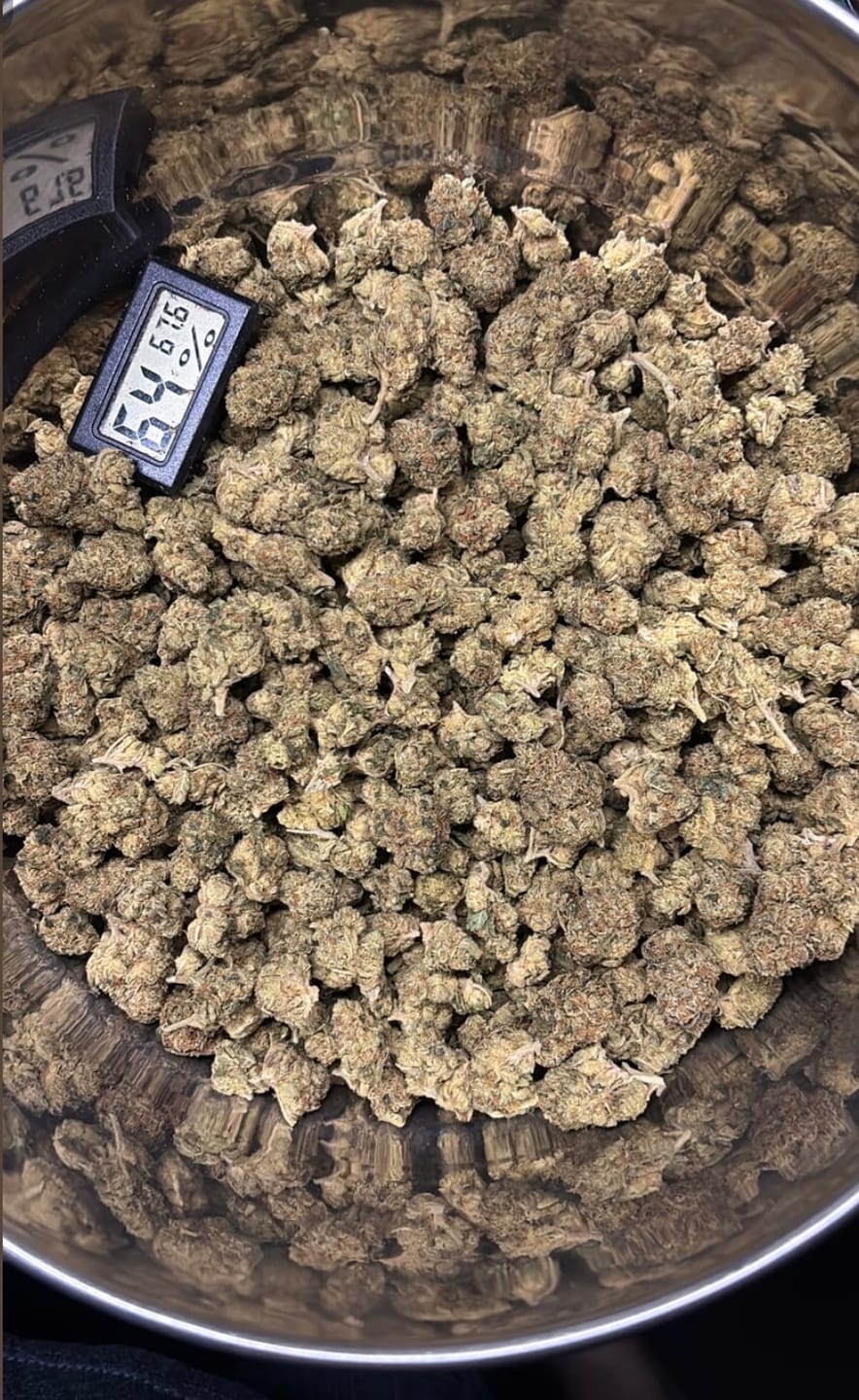 Customer photo review of Super Runtz Mediums - Bulk Mediums - Hybrid