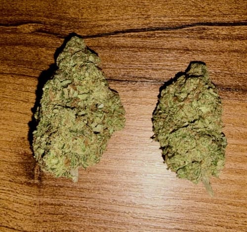 Berry Gelato - 28 Grams - Indica photo review