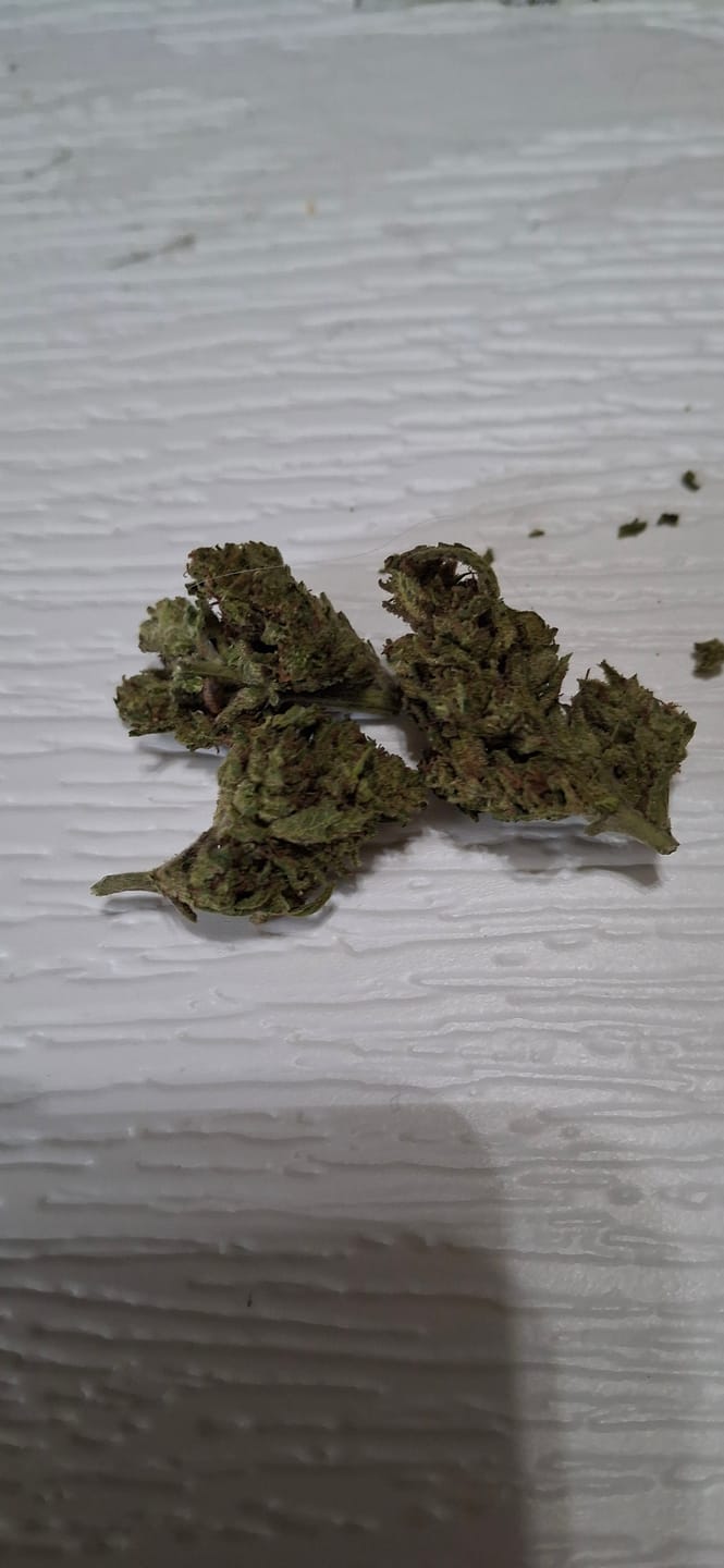 Customer photo review of Blue Dream - 28 Grams - Sativa