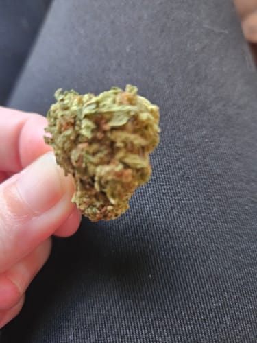 Berry Gelato - 28 Grams - Indica photo review